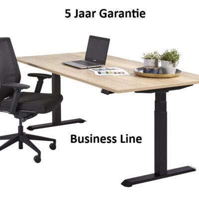 business line zit sta bureau