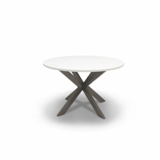 Ronde tafel Ø 120cm. DO T013 - Afbeelding 3