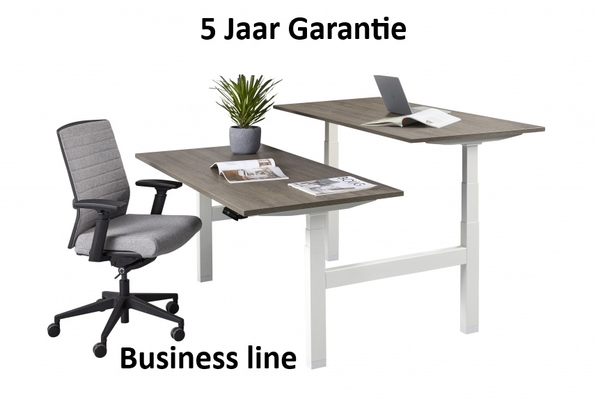 zit sta bureau duo business