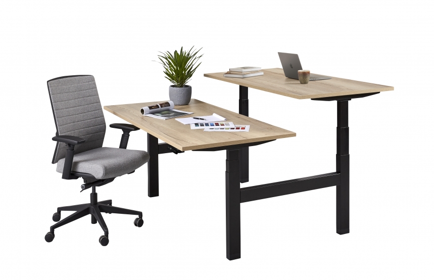 duo zit sta bureau business