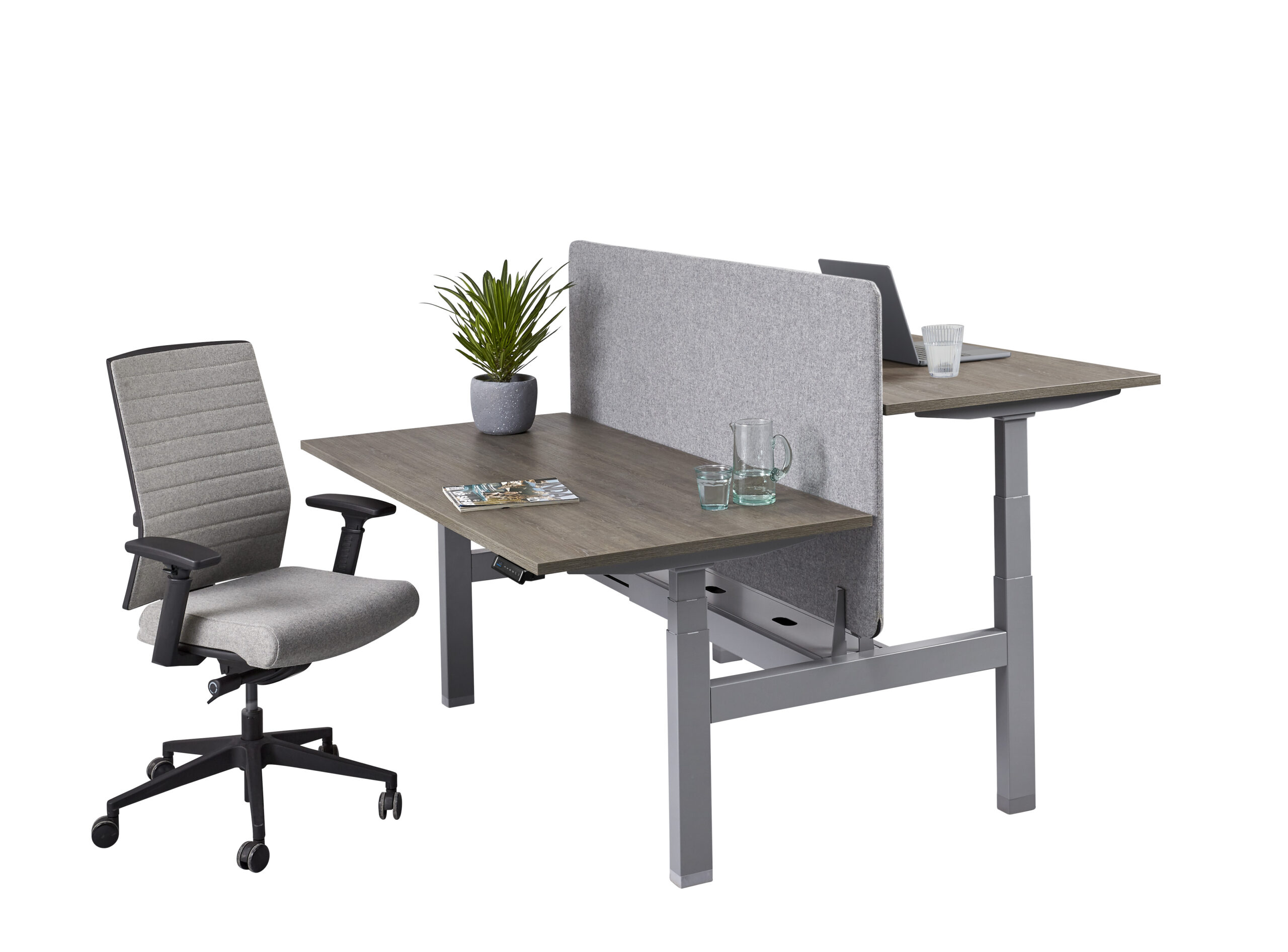 duo zit sta business line