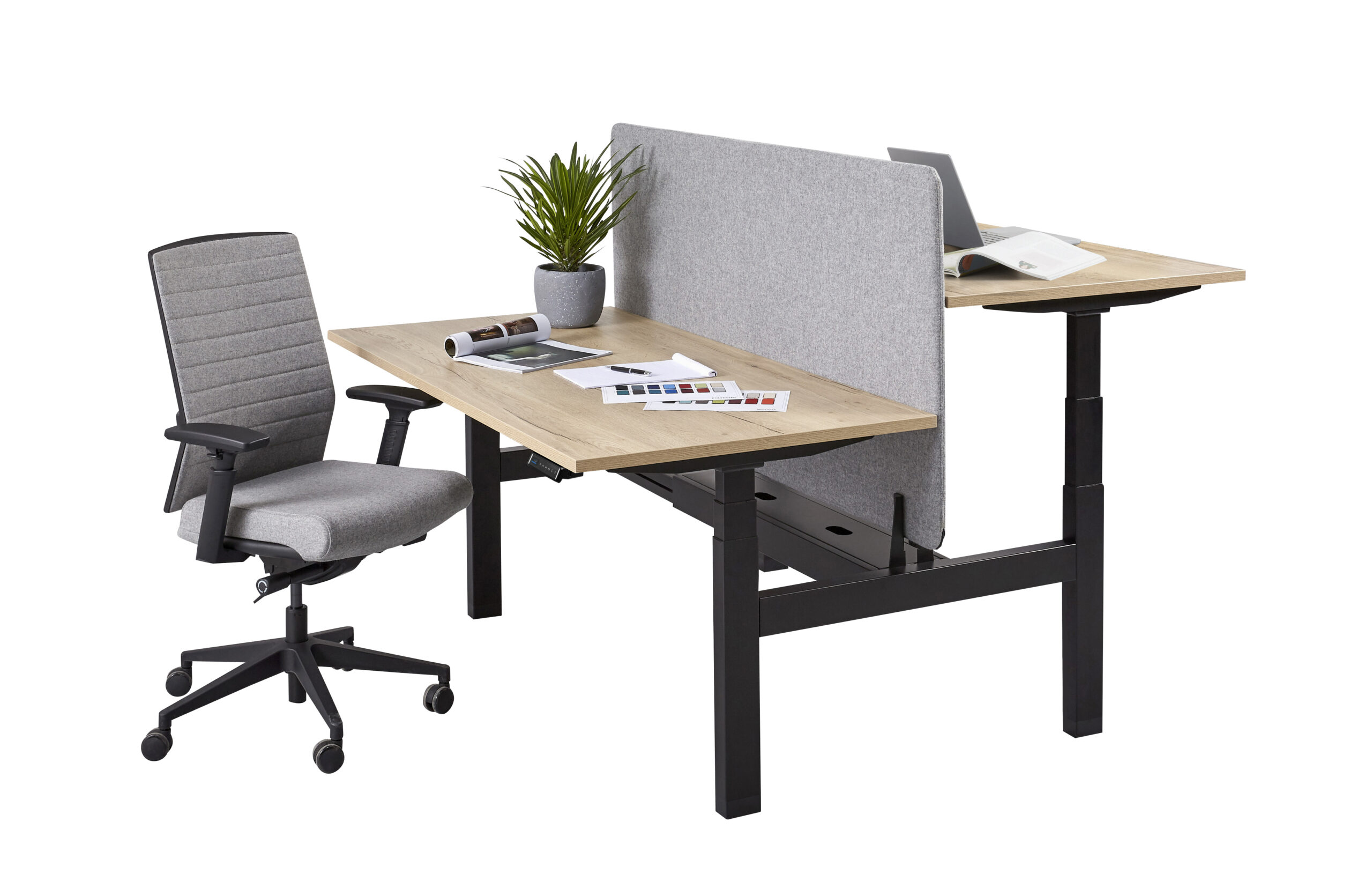 duo zit sta business line