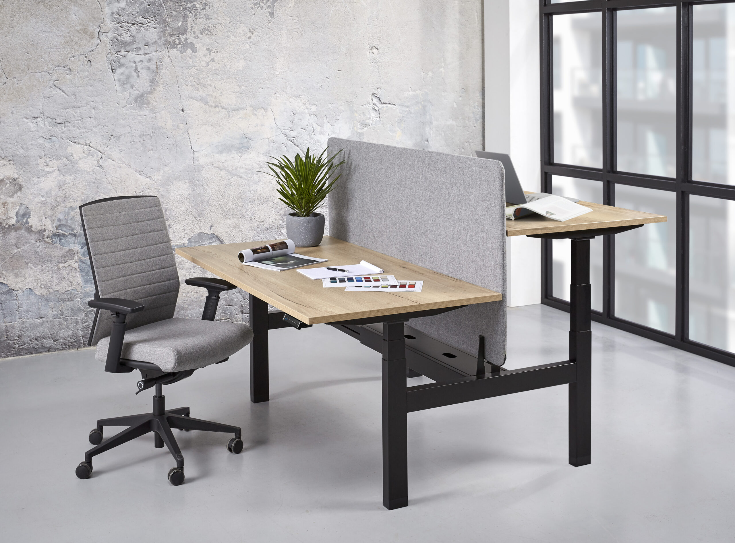 duo zit sta business line